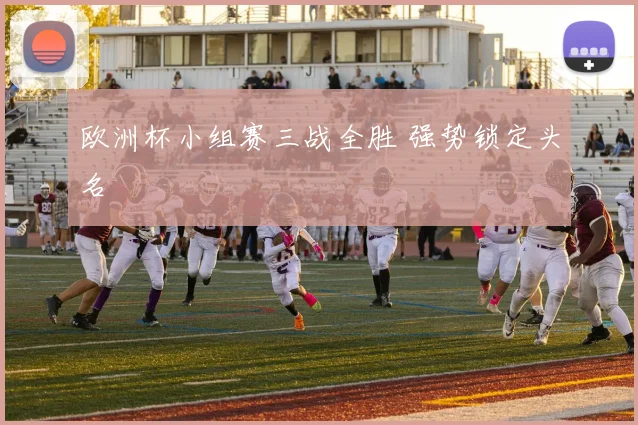 欧洲杯小组赛三战全胜 强势锁定头名