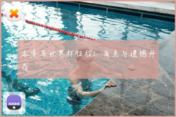 本泽马世界杯征程:高光与遗憾并存