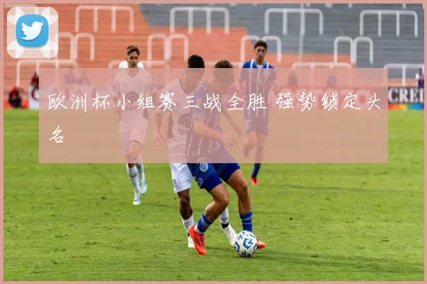 欧洲杯小组赛三战全胜 强势锁定头名